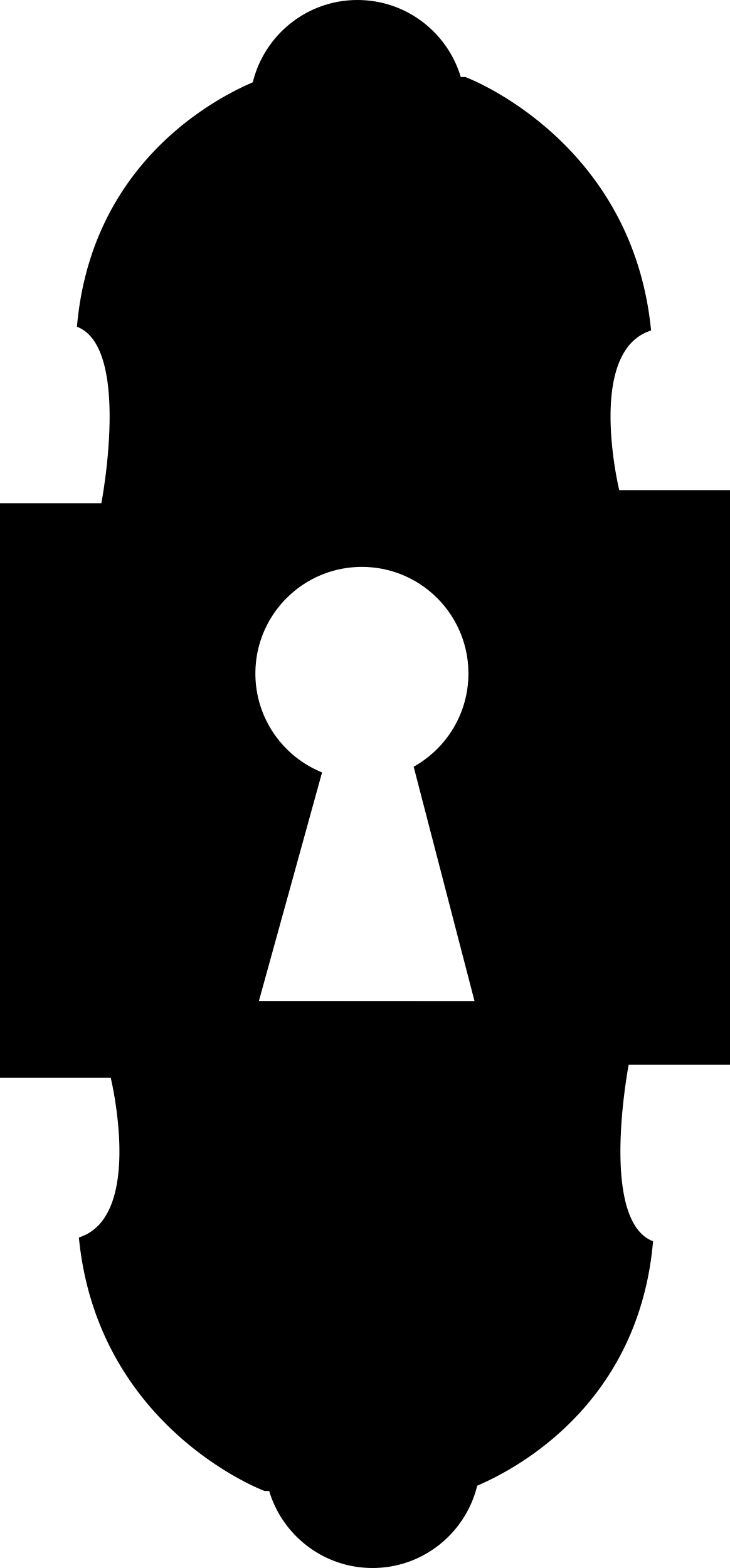 Keyhole Design Variant Silhouette Outline Icon Svg Set Free Vectors